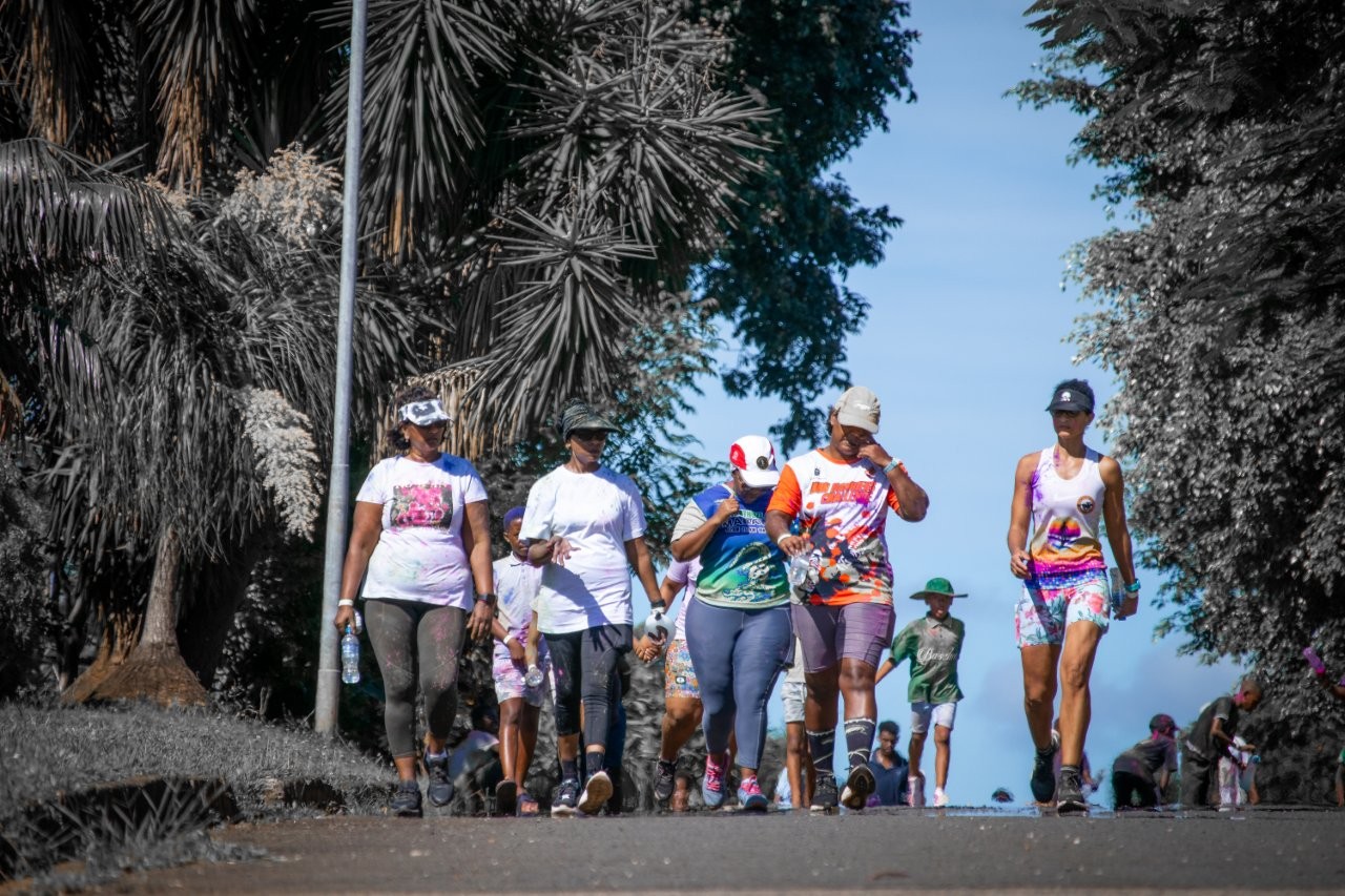 Colour Fun Walk (39)