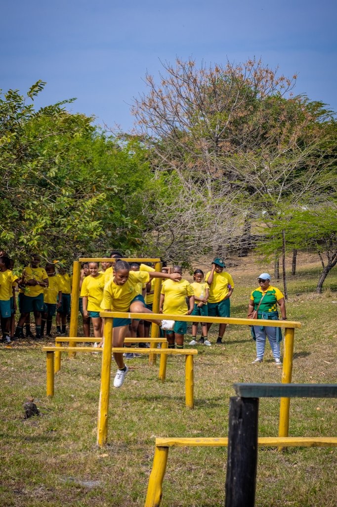 Excursion (126)