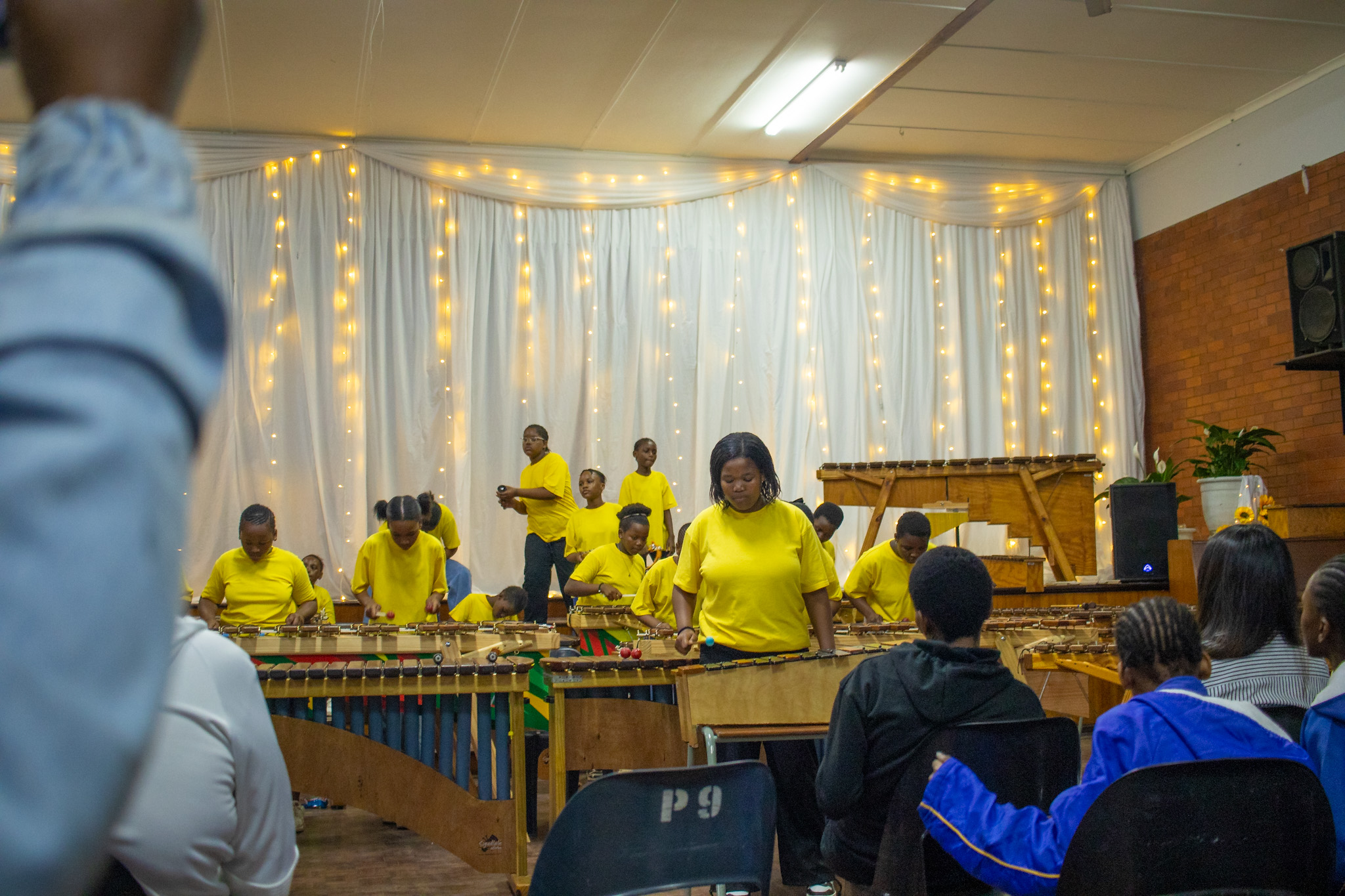 Marimba (1)