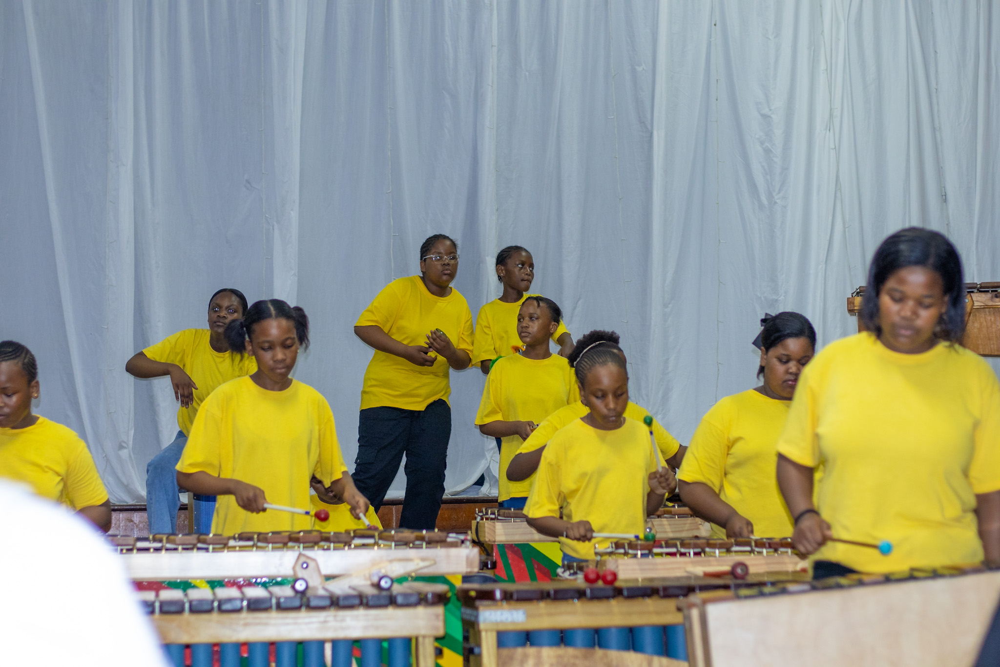 Marimba (5)
